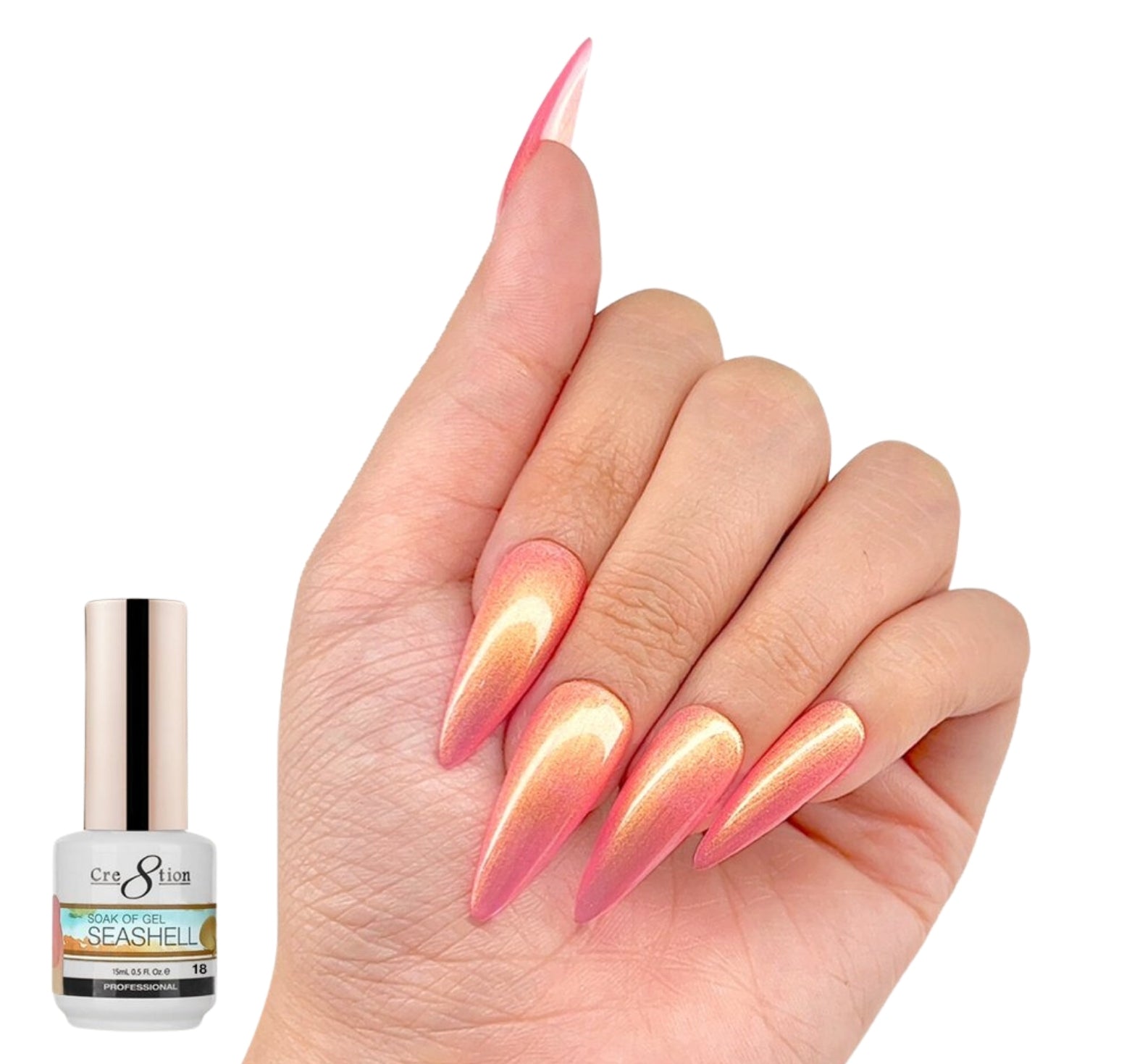 Seashell Gel #18