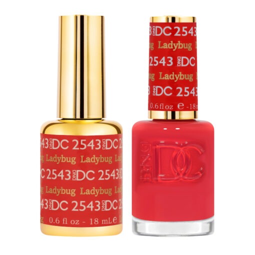 DC2543 Ladybug