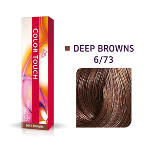 Color Touch - 6/73 Dark blonde/Brown gold - WS