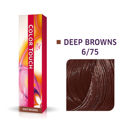 Color Touch - 6/75 Dark blonde/Brown red-violet