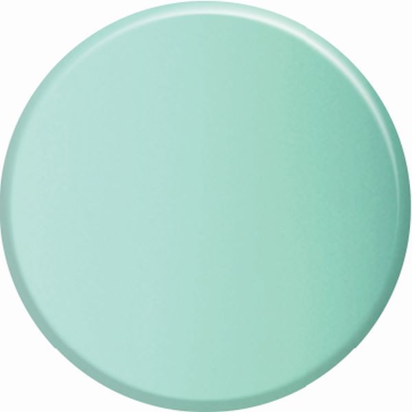 Robin`s Egg Blue - WS