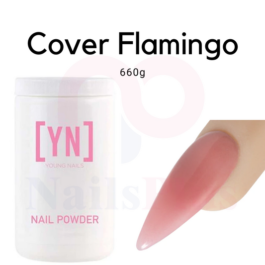 Cover Flamingo