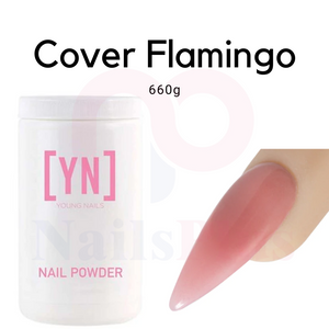 Cover Flamingo - WS