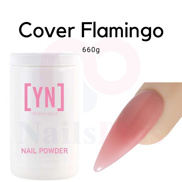 Cover Flamingo