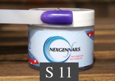 S11 Michigan