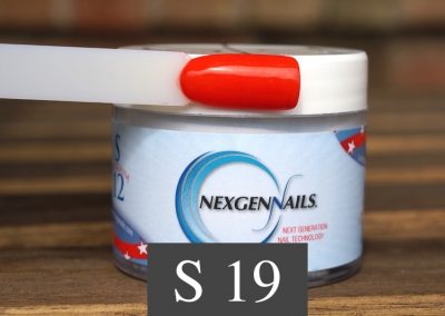 S19 Tennessee