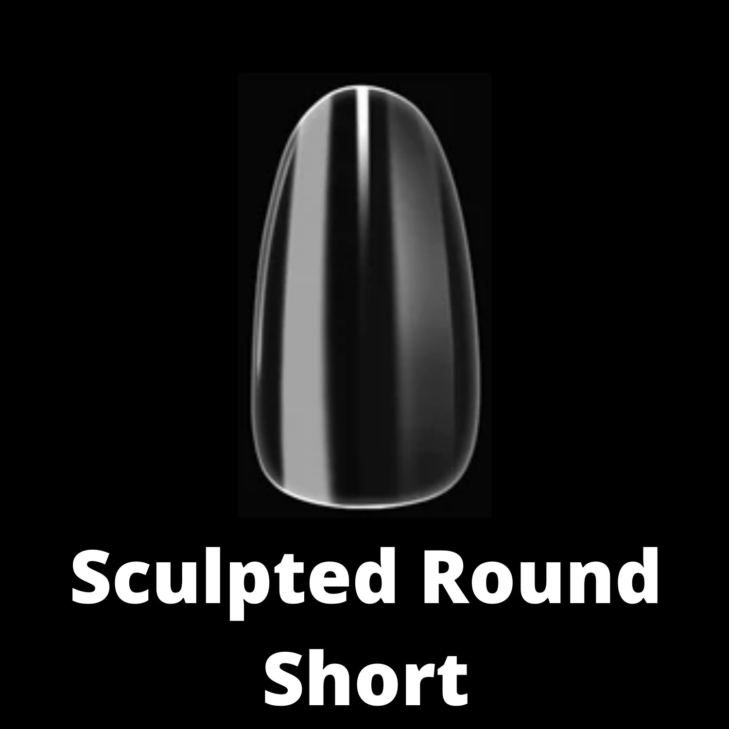 Sculpted Round Short #6