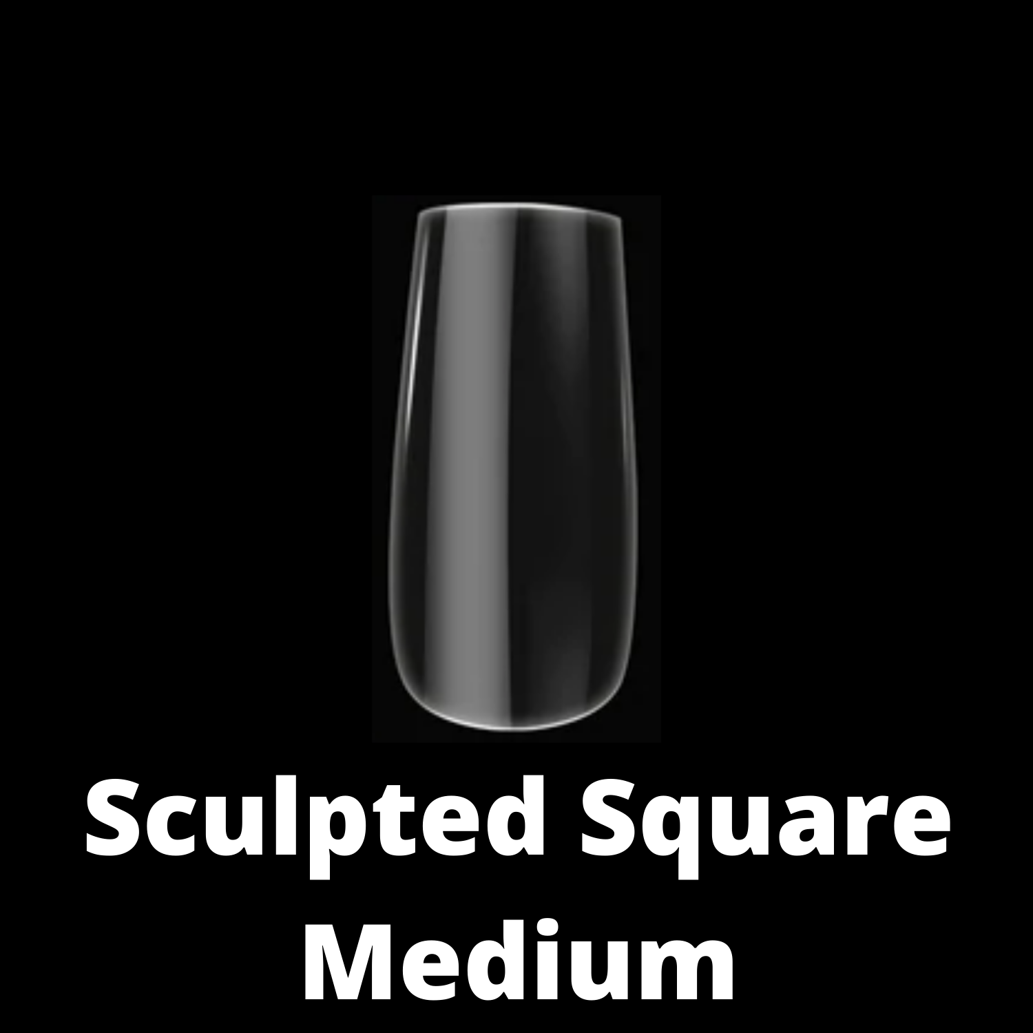 Sculpted Square Medium #5