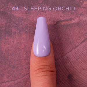 GC - #43 Sleeping Orchid